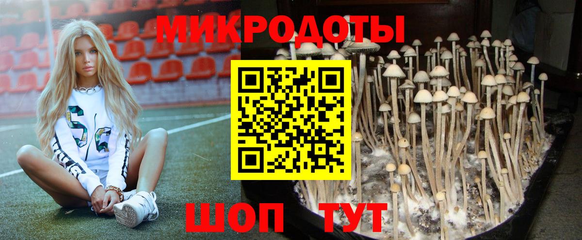 Псилоцибиновые грибы Magic Shrooms  Псилоцибиновые грибы ЛСД  Рубцовск  Вход с VPN 