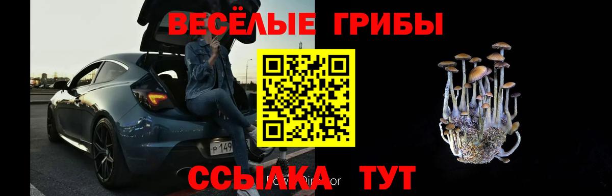 Псилоцибиновые грибы прущие грибы Рубцовск